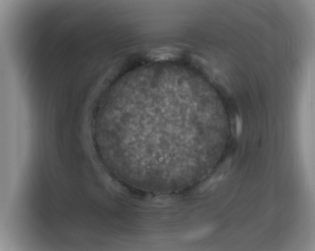 X0000113291393200910051051