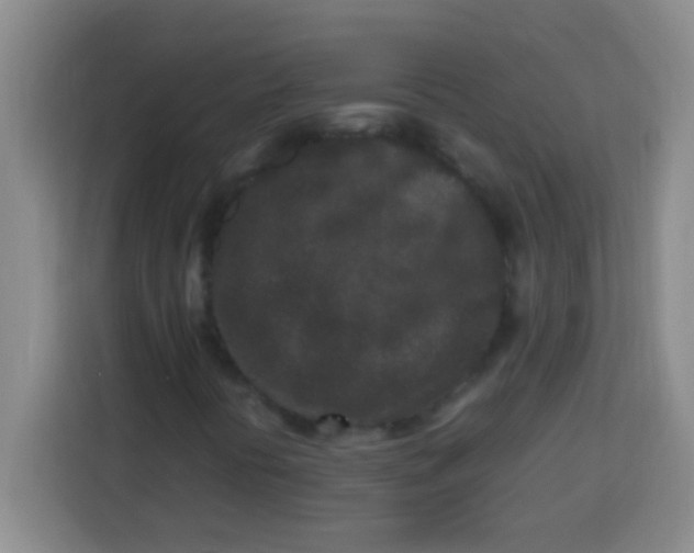 X0000113291394200910051051