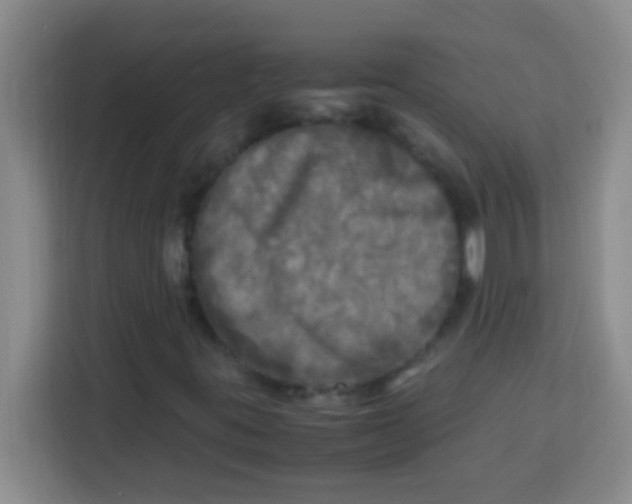 X0000113291395200910051051