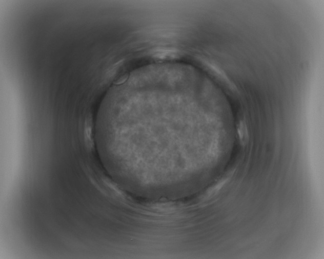 X0000113291396200910051051