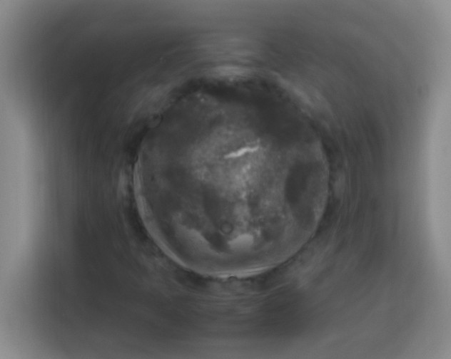 X0000113291397200910051051