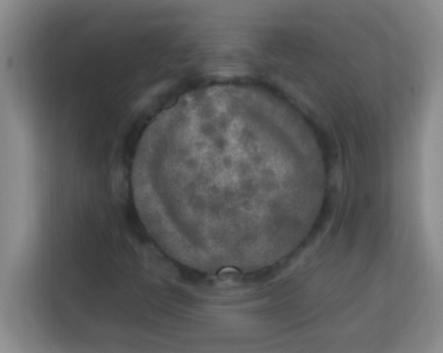 X0000113291398200910051051