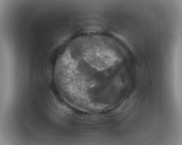 X0000113291399200910051051