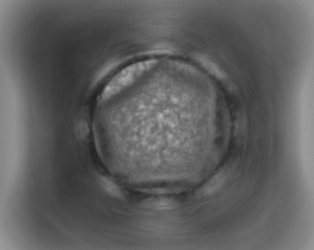 X0000113291400200910051051