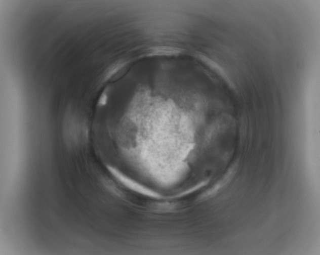 X0000113291401200910051051