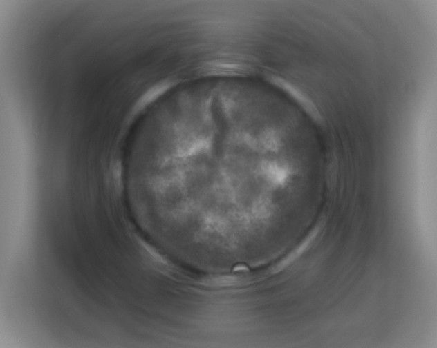 X0000113291402200910051051