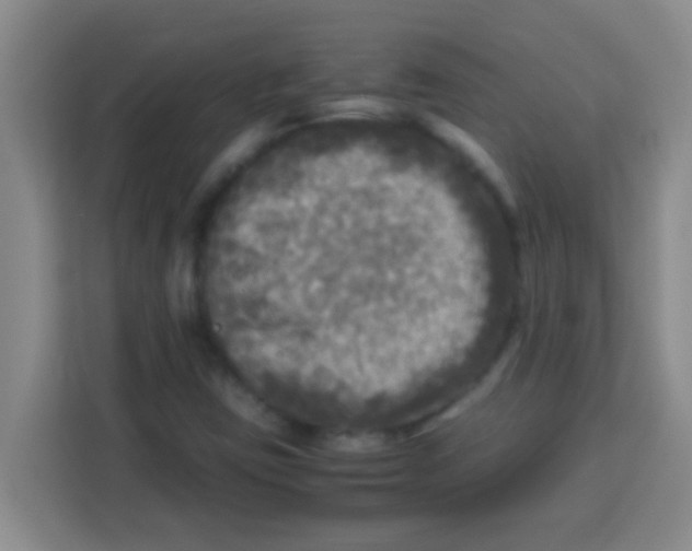 X0000113291403200910051051