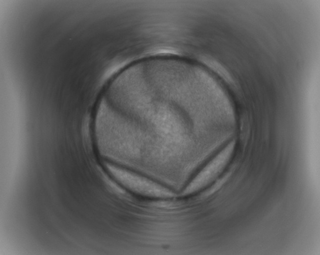 X0000113291404200910051051