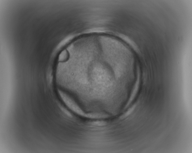 X0000113291406200910051051