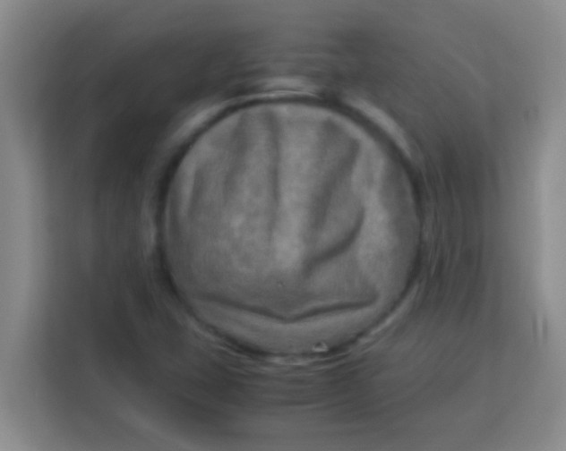 X0000113291407200910051051