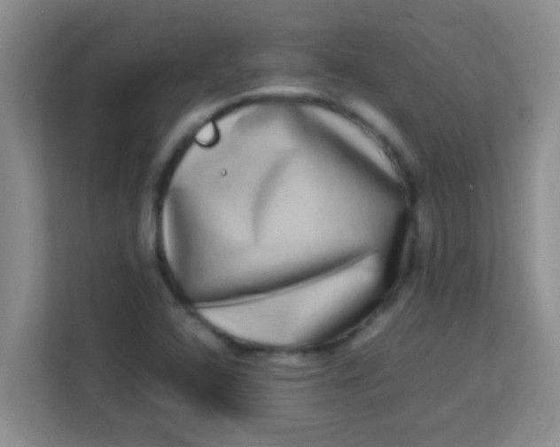 X0000113291408200910051051