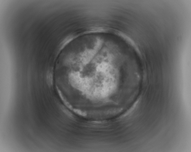 X0000113291409200910051051