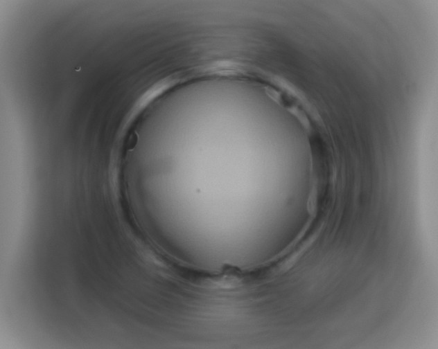 X0000113291410200910051051