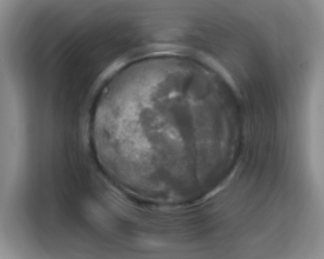 X0000113291411200910051051