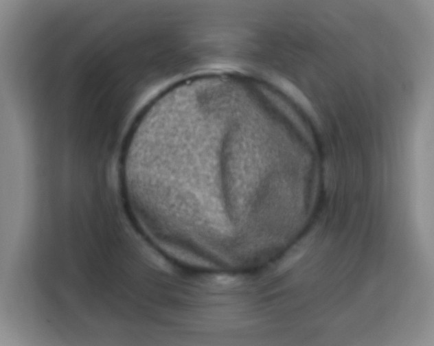 X0000113291412200910051051