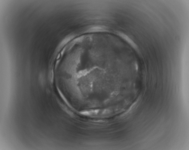 X0000113291413200910051051