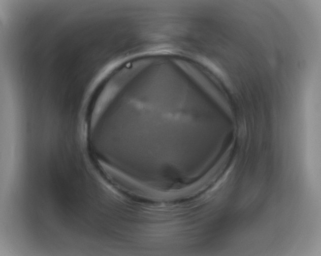 X0000113291414200910051051