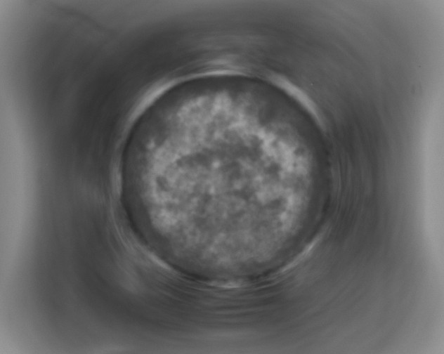 X0000113291415200910051051