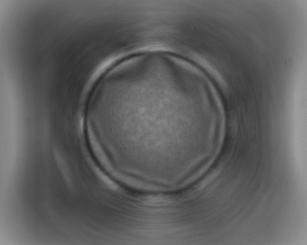 X0000113291416200910051051