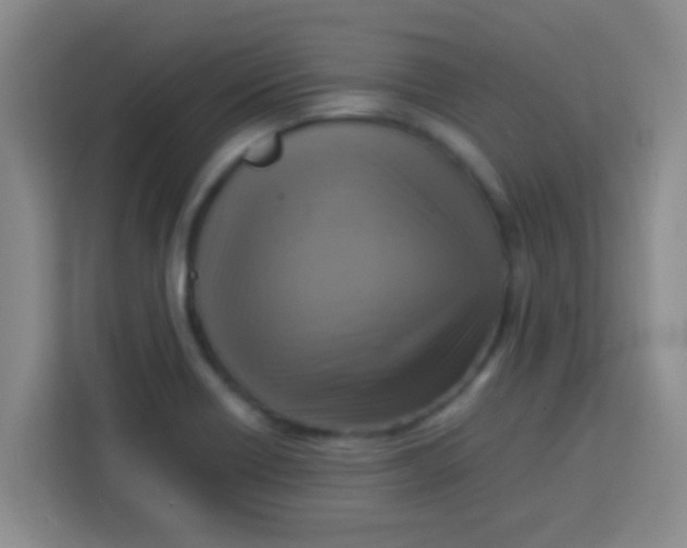 X0000113291418200910051051