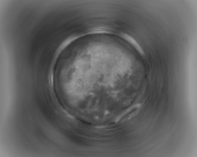 X0000113291419200910051051