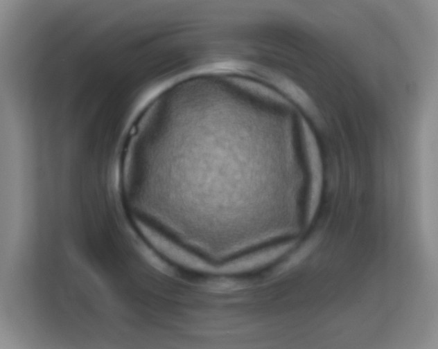 X0000113291420200910051051