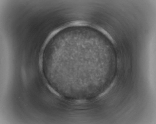 X0000113291421200910051051