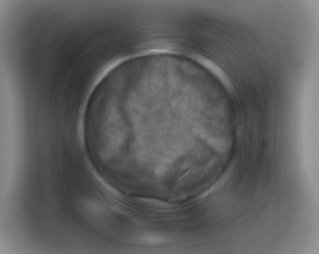 X0000113291423200910051051