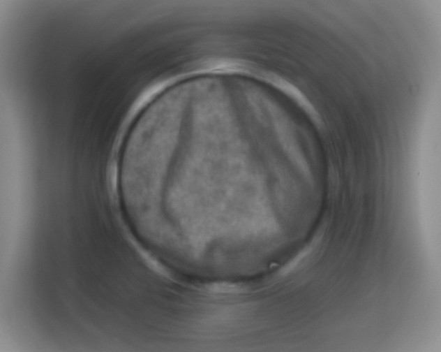 X0000113291424200910051051