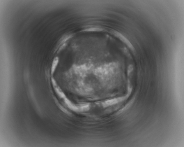 X0000113291425200910051051