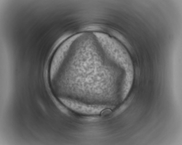 X0000113291426200910051051