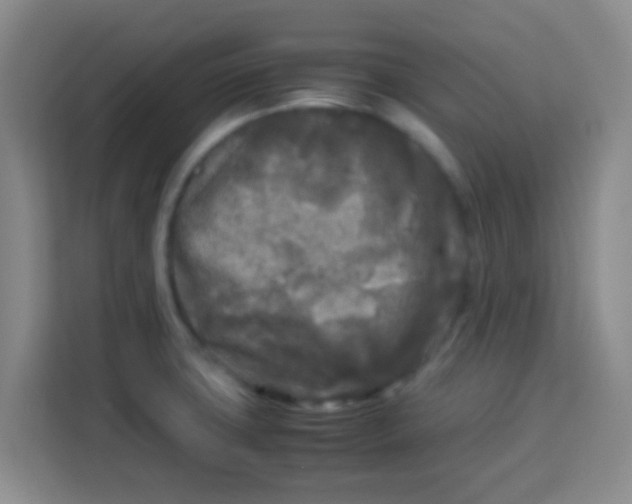 X0000113291427200910051051