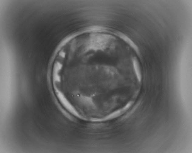 X0000113291429200910051051