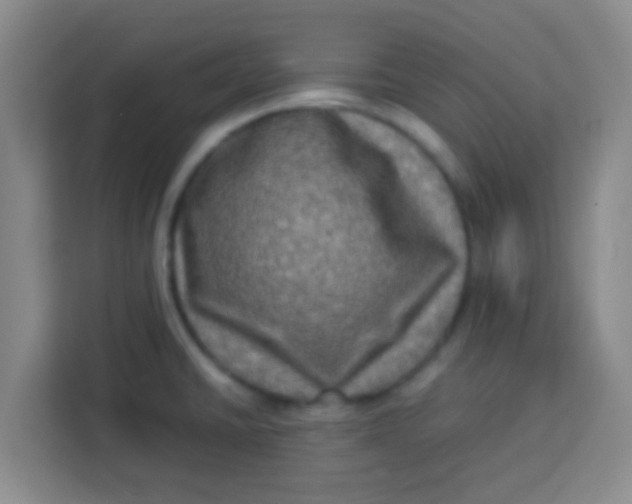 X0000113291430200910051051