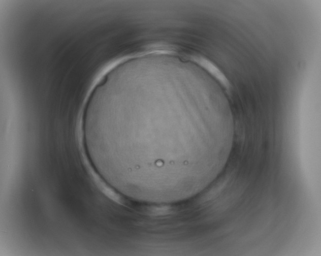 X0000113291431200910051052