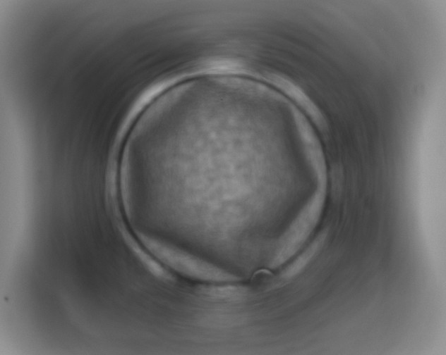 X0000113291432200910051052