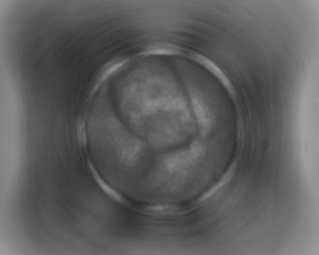 X0000113291433200910051052