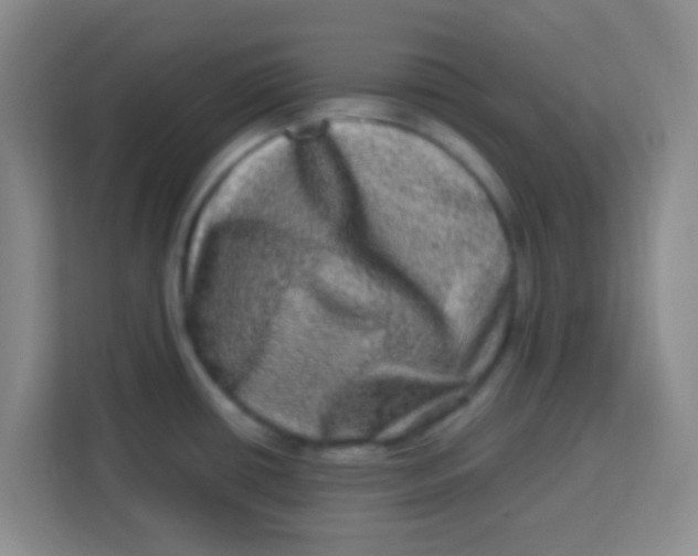 X0000113291434200910051052