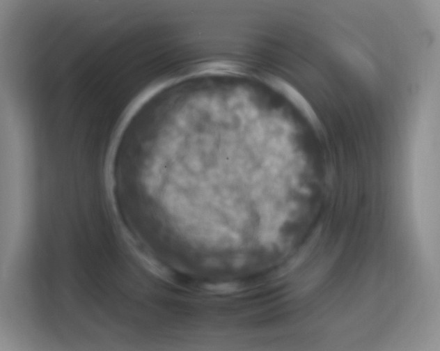 X0000113291435200910051052