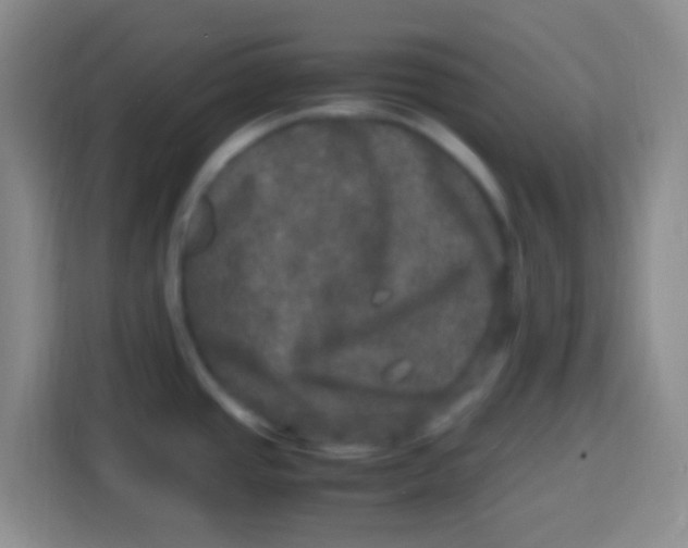 X0000113291437200910051052