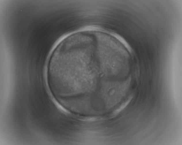 X0000113291438200910051052