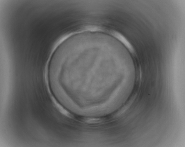 X0000113291439200910051052