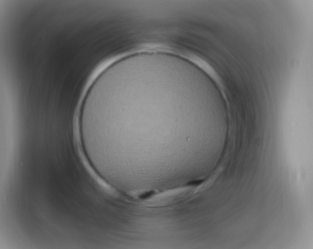 X0000113291440200910051052