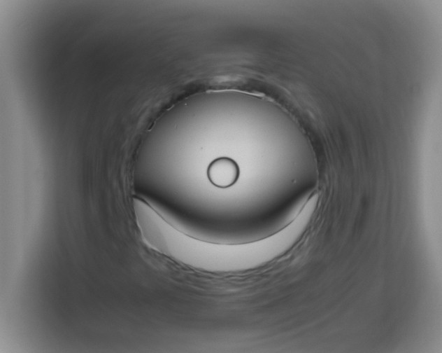 X0000113291441200910051051