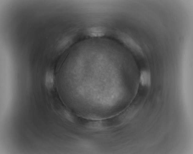 X0000113291444200910051051