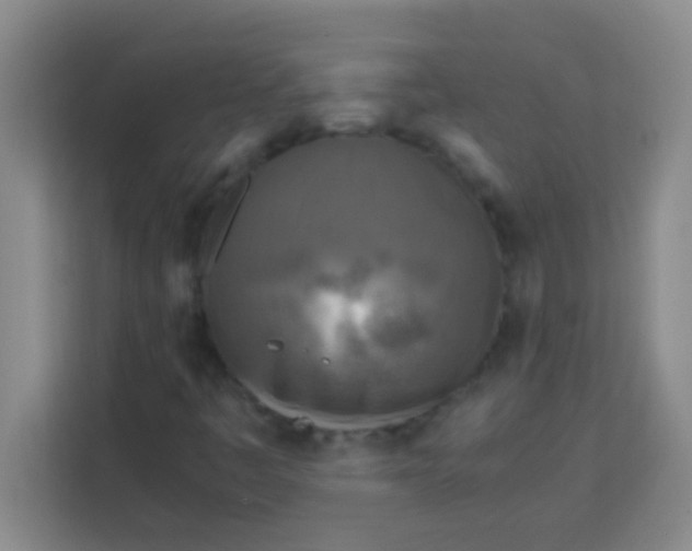 X0000113291445200910051051