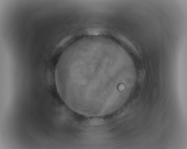 X0000113291446200910051051