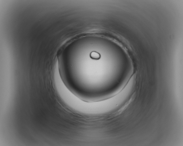 X0000113291449200910051051