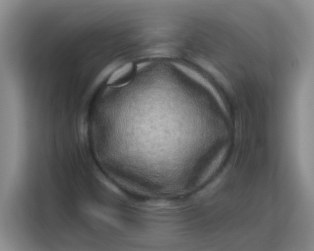 X0000113291450200910051051