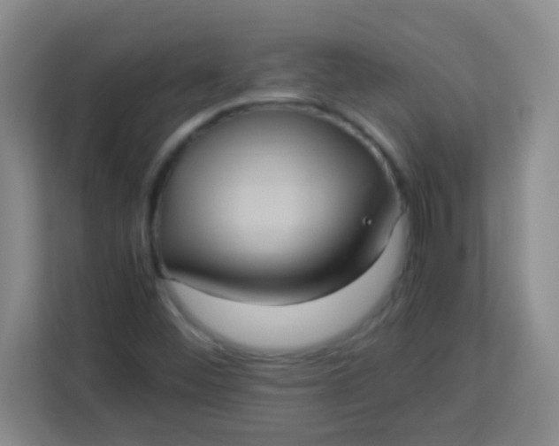 X0000113291452200910051051